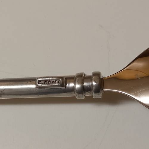 Carrol Boyes - Functional Art  Serving Spoon