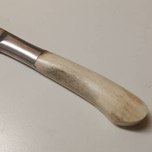 Bone Handle Knife