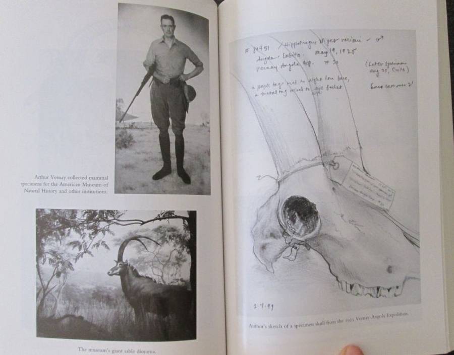 A Certain Curve of Horn: The 100 Year Quest for the Giant Sable Antelope of Angola, John F Walker