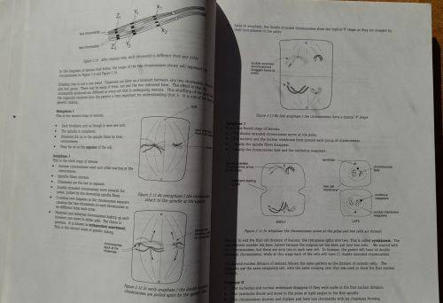 Life Sciences GRADE 12: GUIDELINES Peter Ayerst + DEFINITIVE EXAM PREP. KIT X-Kit