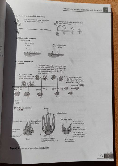 Life Sciences GRADE 12: GUIDELINES Peter Ayerst + DEFINITIVE EXAM PREP. KIT X-Kit