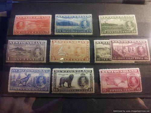New Foundland -  Set of stamps. MM