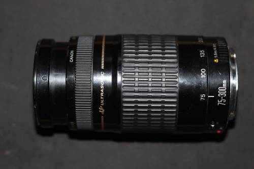 Canon EOS 77D