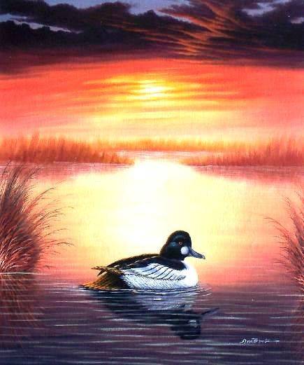 Duck at sunset  by Ambrose. Oil on canvas.