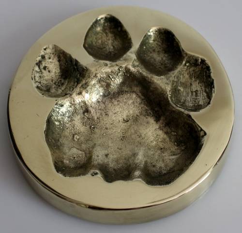 Rare BW Genis African Lion/Panthera Leo Spoor in solid brass 1985 FOR JENNIFER