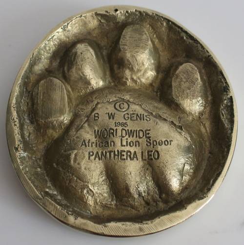 Rare BW Genis African Lion/Panthera Leo Spoor in solid brass 1985 FOR JENNIFER