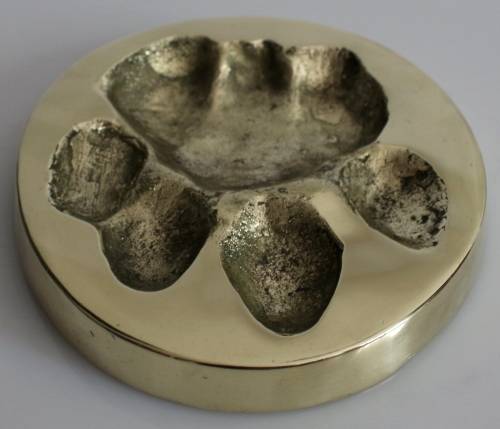 Rare BW Genis African Lion/Panthera Leo Spoor in solid brass 1985 FOR JENNIFER