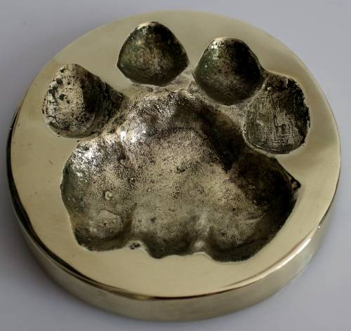 Rare BW Genis African Lion/Panthera Leo Spoor in solid brass 1985 FOR JENNIFER