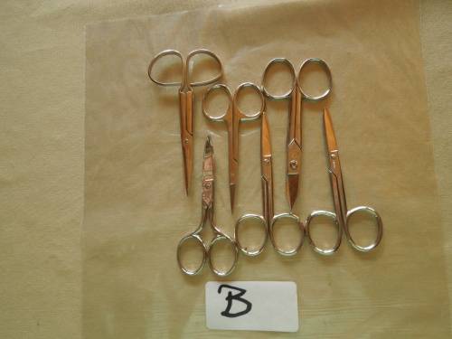 Various Scissors in different sizes