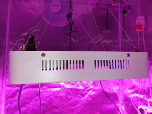 1000W DUAL CORE LED PLANT GROW LIGHT