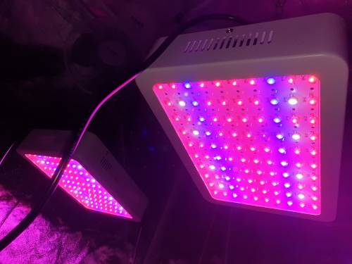 1000W DUAL CORE LED PLANT GROW LIGHT