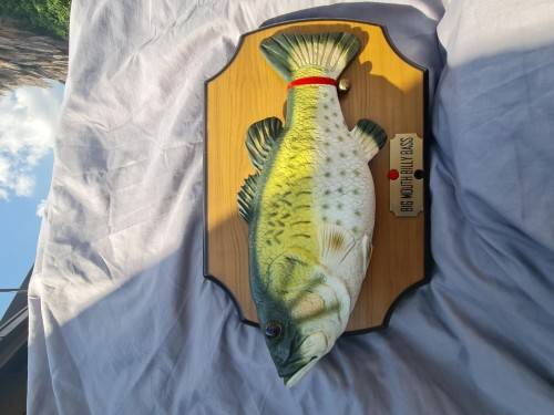 Big Mouth Billy Bass The Singing Sensation