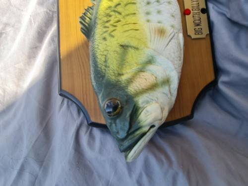 Big Mouth Billy Bass The Singing Sensation