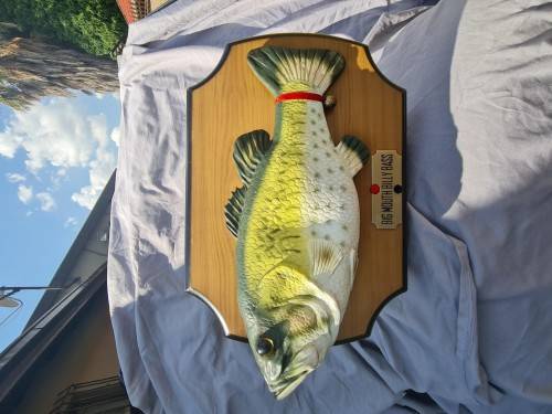 Big Mouth Billy Bass The Singing Sensation