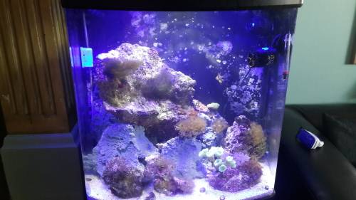 TL550 LED replacement Aquarium LED lights