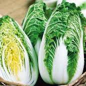 Chinese Cabbage Michili seed