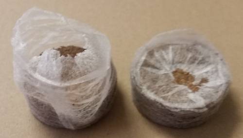 Jiffy 7C pellets (42mm diameter)