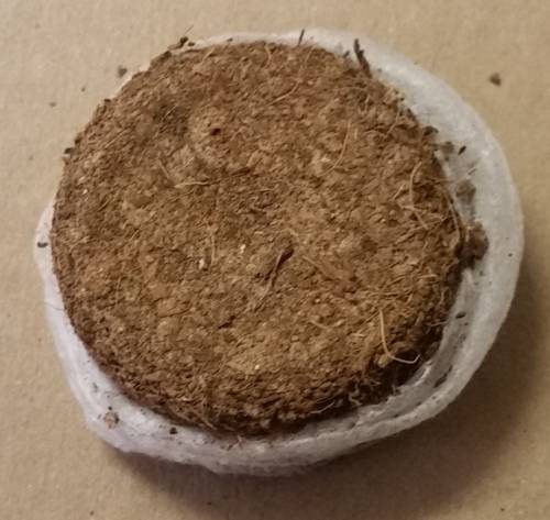 Jiffy 7C pellets (42mm diameter)