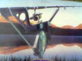 Automatic Fish Striker