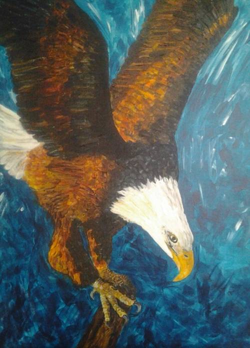 bald headed eagle