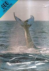 WHALE TAIL PUZZLE