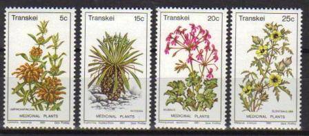 TRANSKEI 1981 MEDICINAL PLANTS SET OF 4 MNH SINGLES
