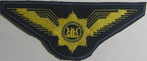 AIRFORCE BADGE