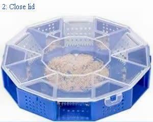 Cockroach traps - Type 1