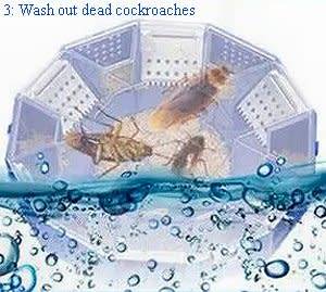 Cockroach traps - Type 1