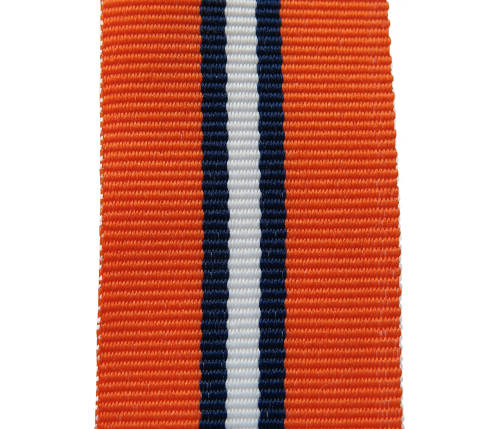 Full size - SAP 30 Years. 15 CM. New Medal Ribbon