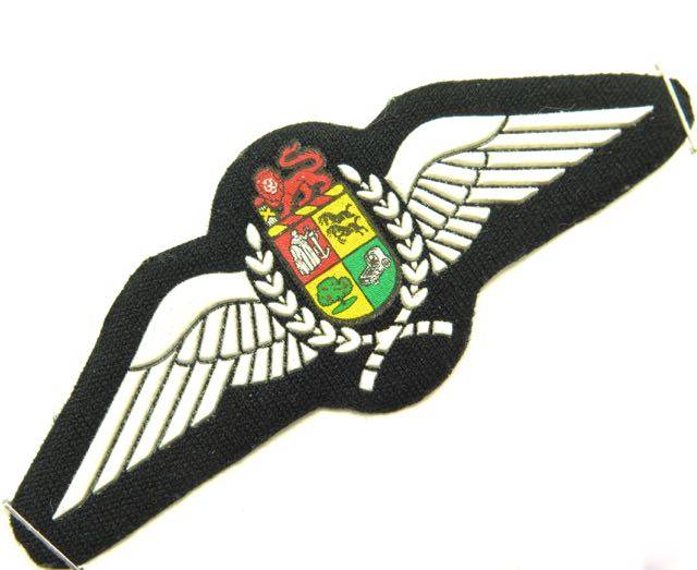 South African Airforce Pilots Wings