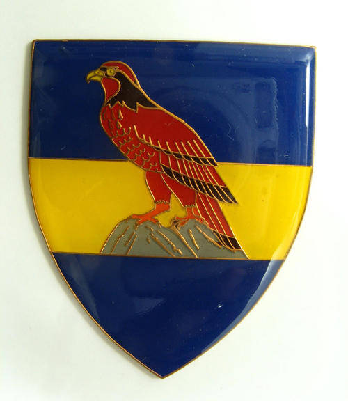 Zambian Army Flash.