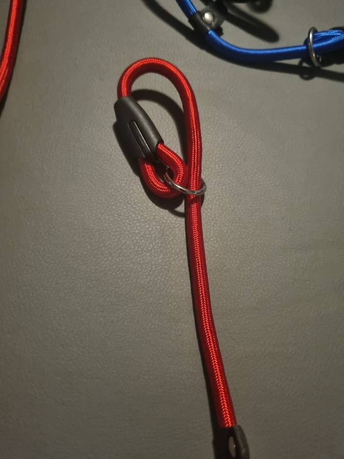Braided dog leashes - various colors