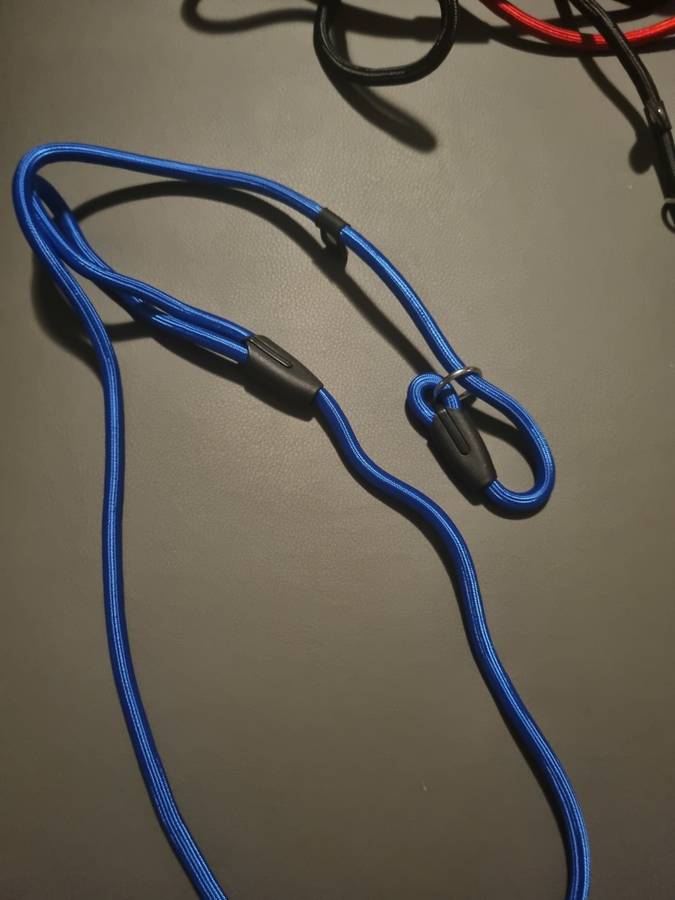 Braided dog leashes - various colors
