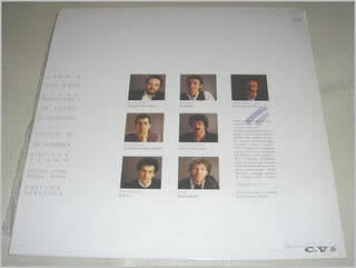 António Pinho Vargas  As Folhas Novas Mudam De Cor Vinyl LP (IMPORT) Excellent Condition