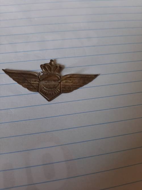 junior KLm Royal Dutch Airline badge