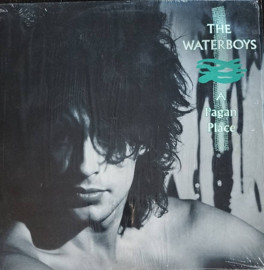 The Waterboys - A Pagan place (Vintage LP / Vinyl / Record)