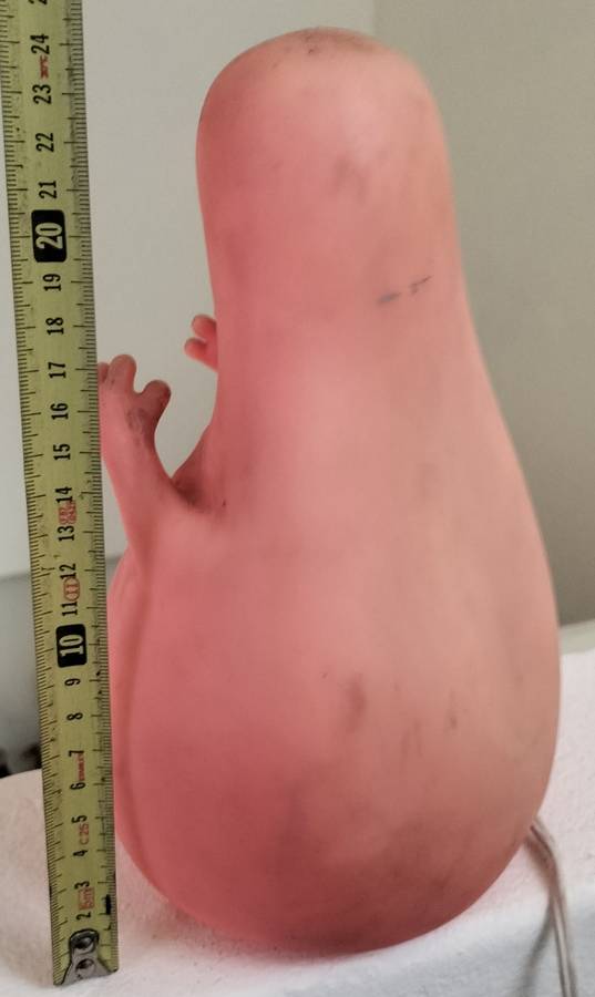 Vintage kid`s bedside lamp - working