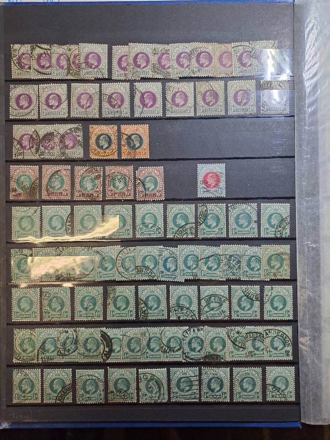 2.1 Cape of Good Hope and Transvaal Collection - Clearance sale