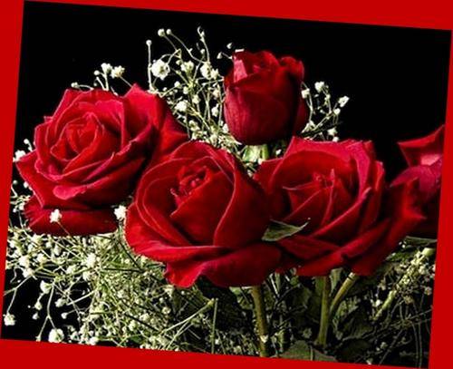 <<<Colourful selection.>>>.Glass Beads ++