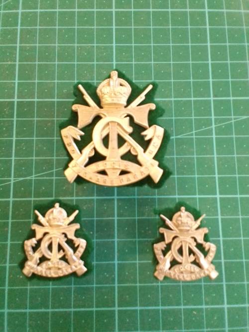 TVL Cadet set of three badges.