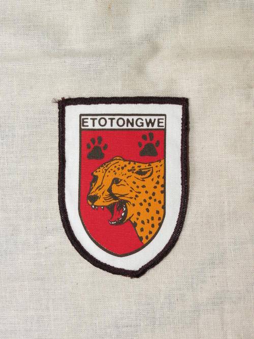 swa police/koevoet badge