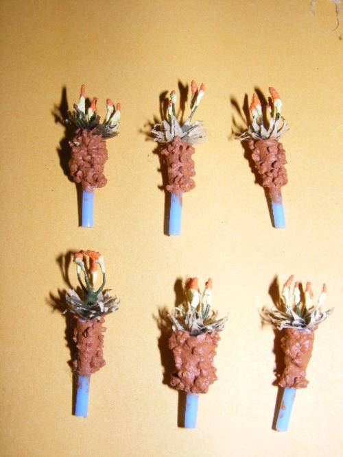 HO Aloe's X 6
