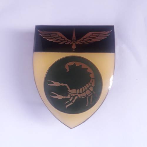 2 Recce Commando Pocket flash