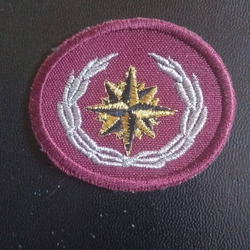 Special Forces Beret badge