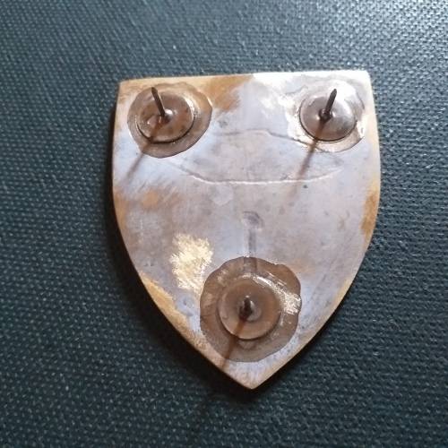 1 Light Horse Regiment , condition as per photo`s