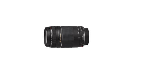 Canon 75-300mm Ultra sonic lens