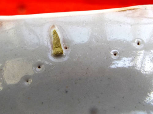 A pair of French provincial faience Botanical plates. 19thCentury. Ref. P/97A+97B