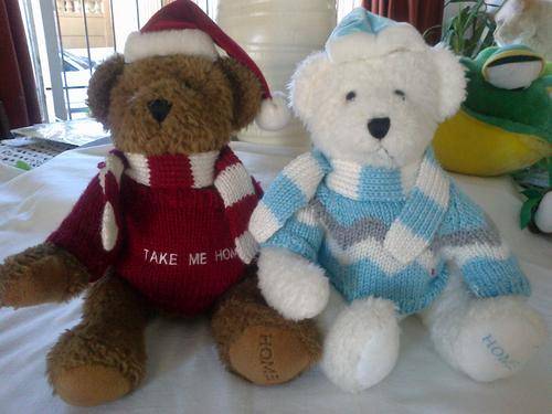 2 Bears