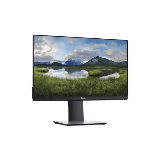 Dell P2219H 22-inch Full HD LCD 8ms Monitor